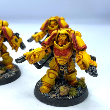 Primaris Aggressors Imperial Fists Space Marine - Painted Warhammer 40K C3121