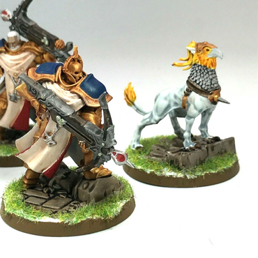 Castigators with Gryph Stormcast Eternals Painted Warhammer Age of Sigmar C2005