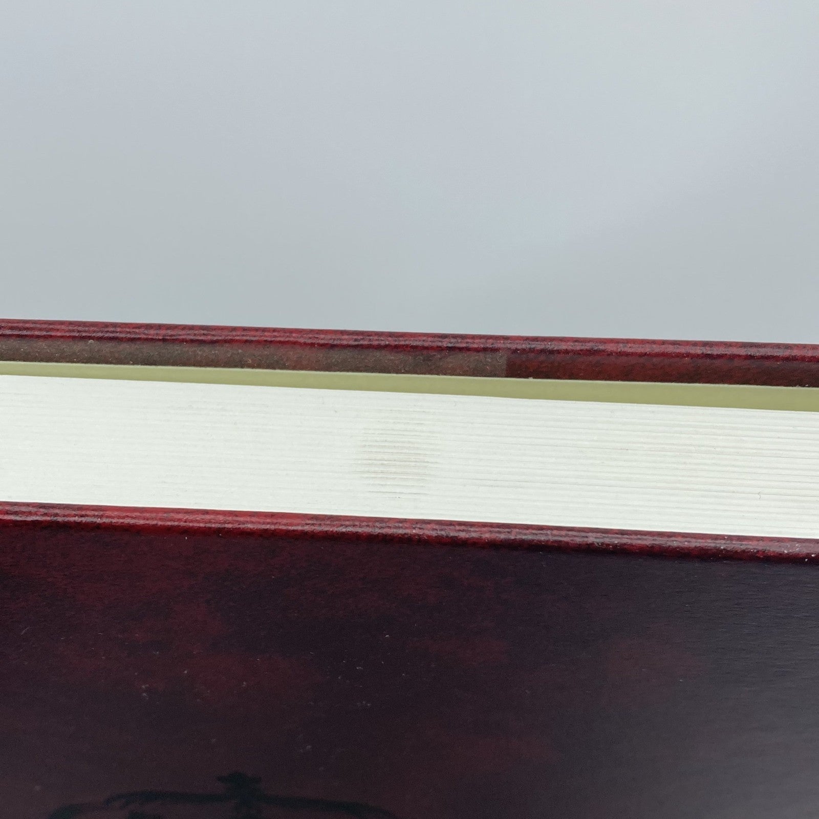 8692537d-adf7-41f6-aa15-042ba9eacd63