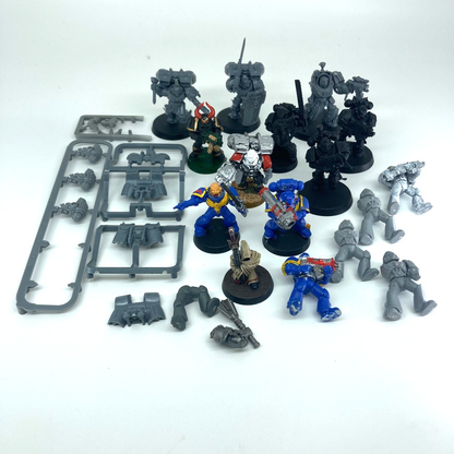 88e9faf8-919e-4b31-8cb2-431eb2b018e2