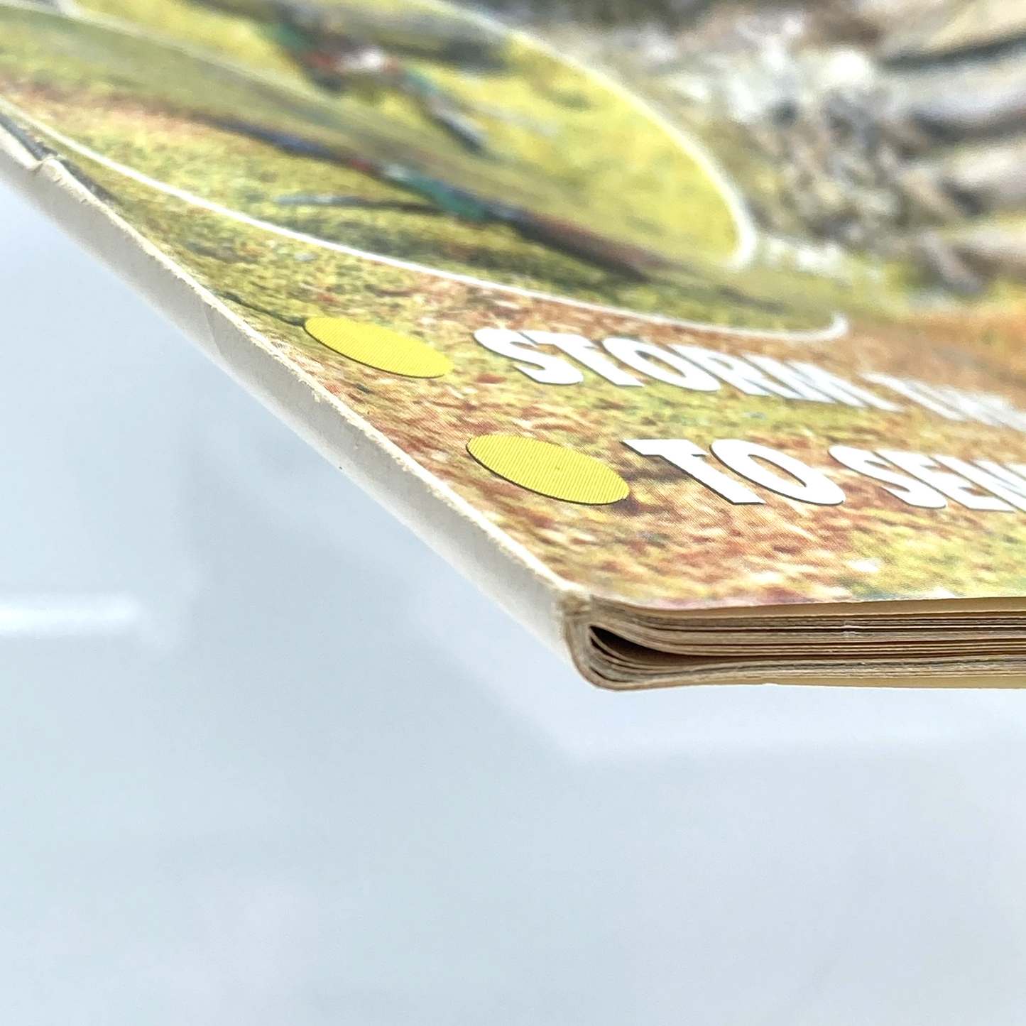 89cba203-3544-4379-85ee-16f683b45592