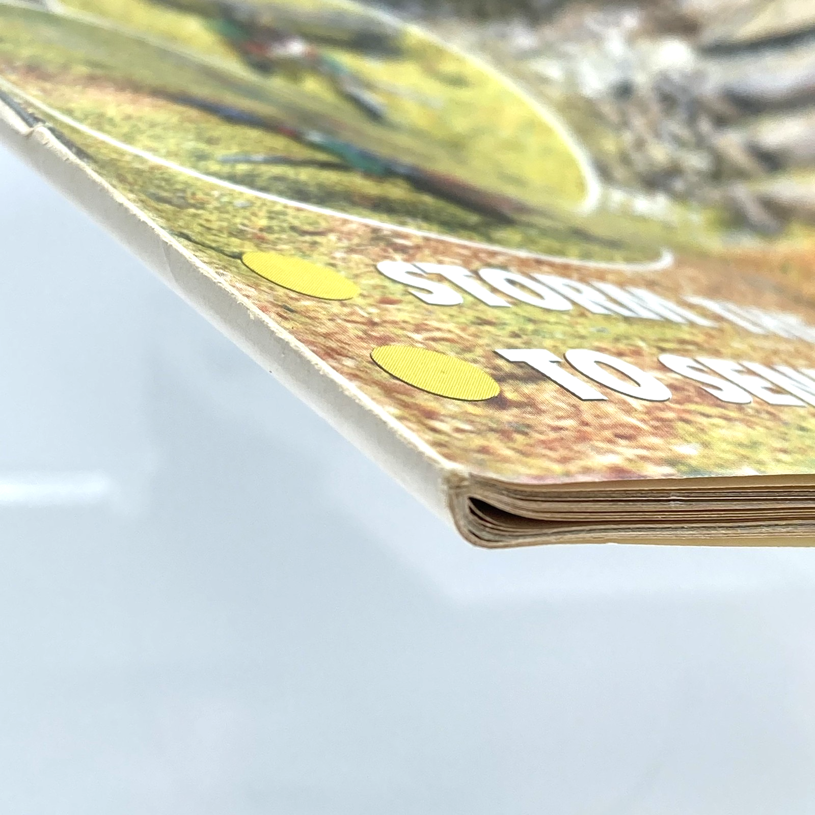 89cba203-3544-4379-85ee-16f683b45592