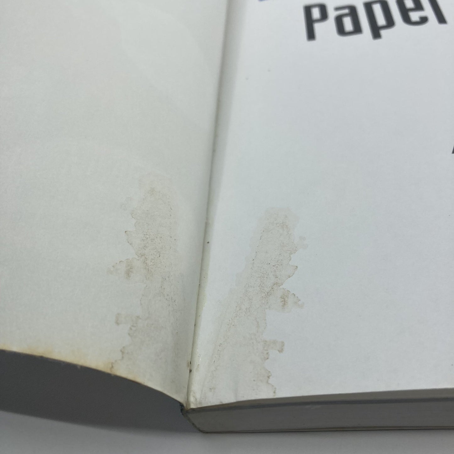 89e629ec-92b1-4026-89c6-a04d07a4a576