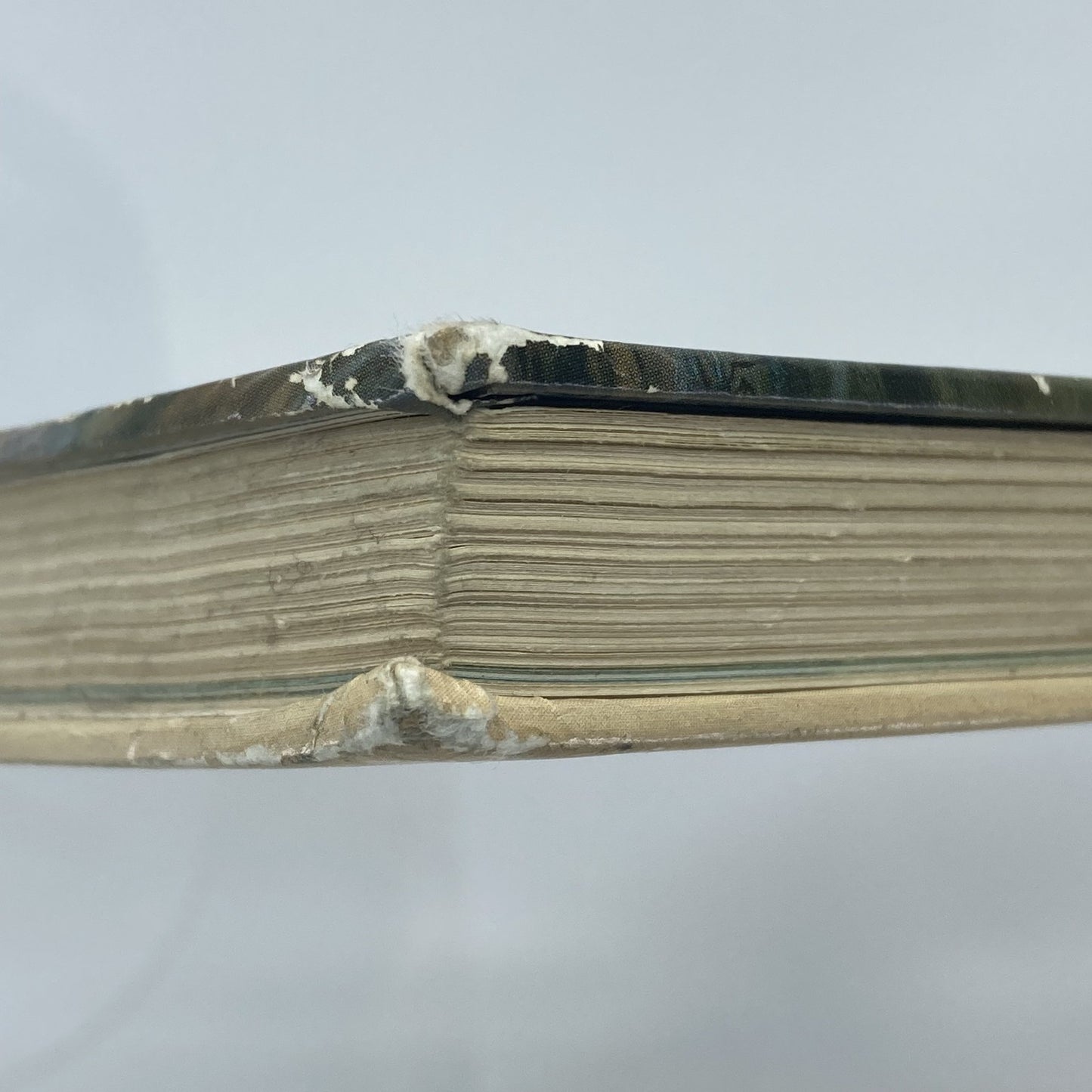 89e97dfd-92bd-4172-9cb3-bdd8f48965b3