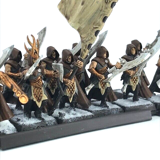 Wood Elves Wildwood Ranger Regiment & Tray - Painted - Warhammer Fantasy C5036