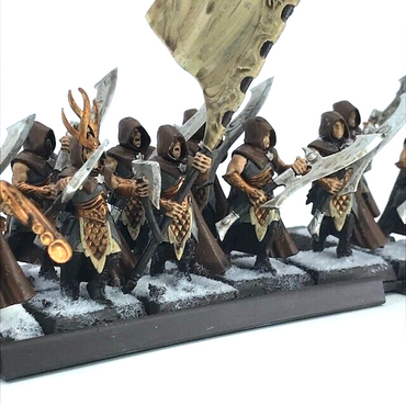 Wood Elves Wildwood Ranger Regiment & Tray - Painted - Warhammer Fantasy C5036