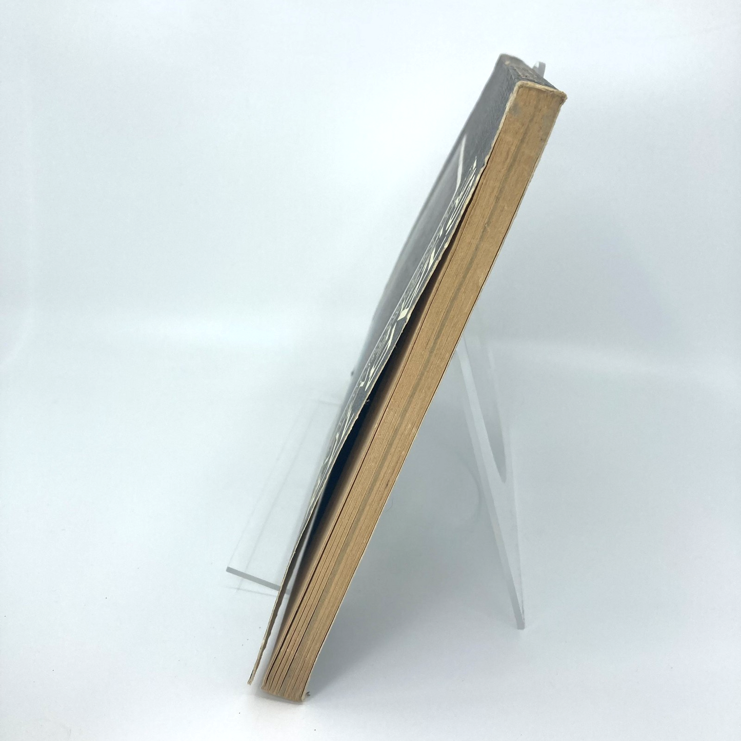 8e0998d8-400c-4289-a39e-a70d60345532