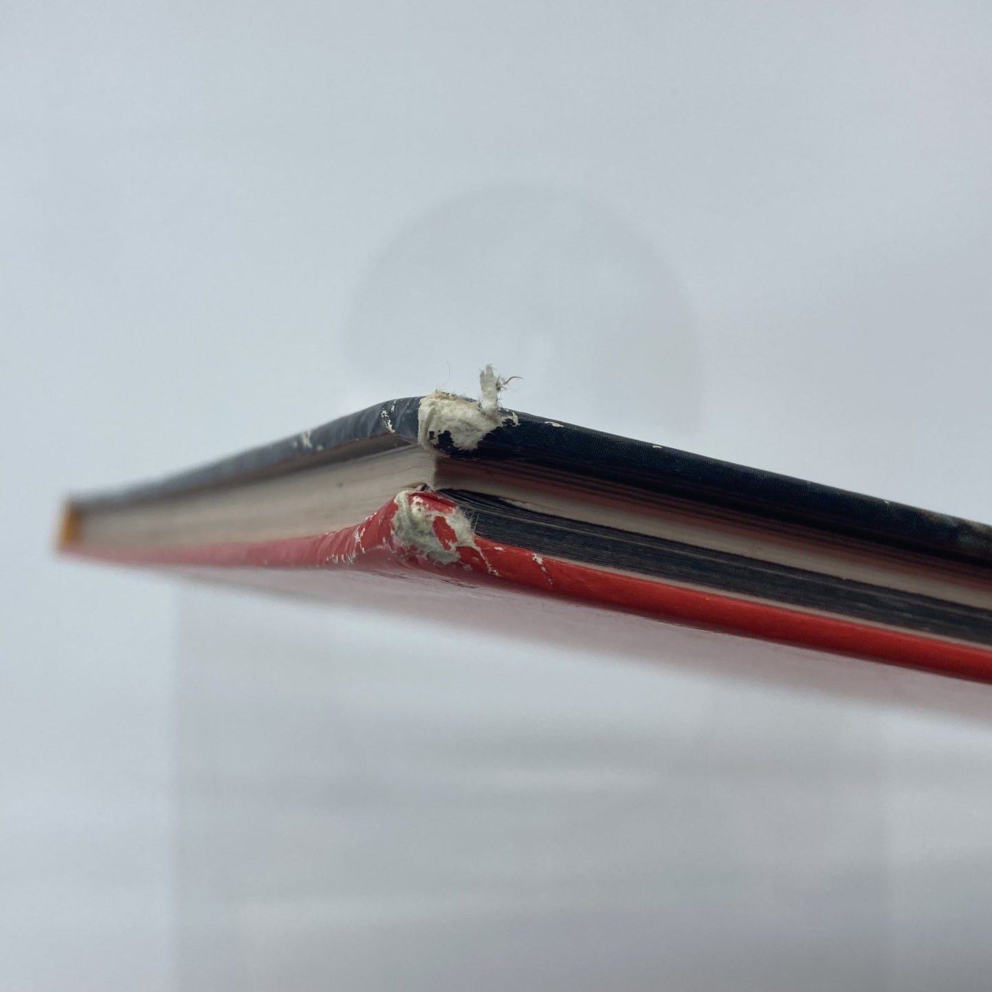 8e447483-7130-4fd8-a232-9cc578ab9eb7