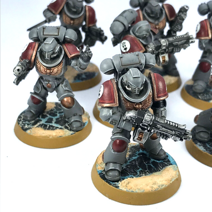 Primaris Intercessors Space Marine - Painted - Warhammer 40K C3493