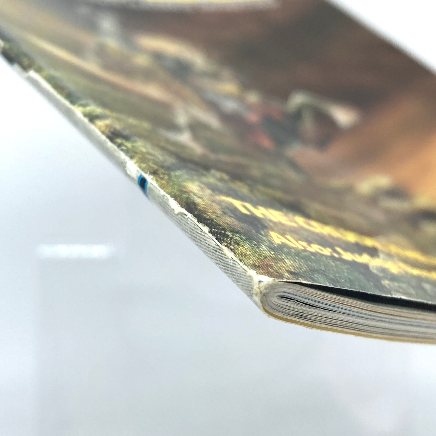 8ff9e6d5-3de2-481c-aa7b-e67f40a2ed2e