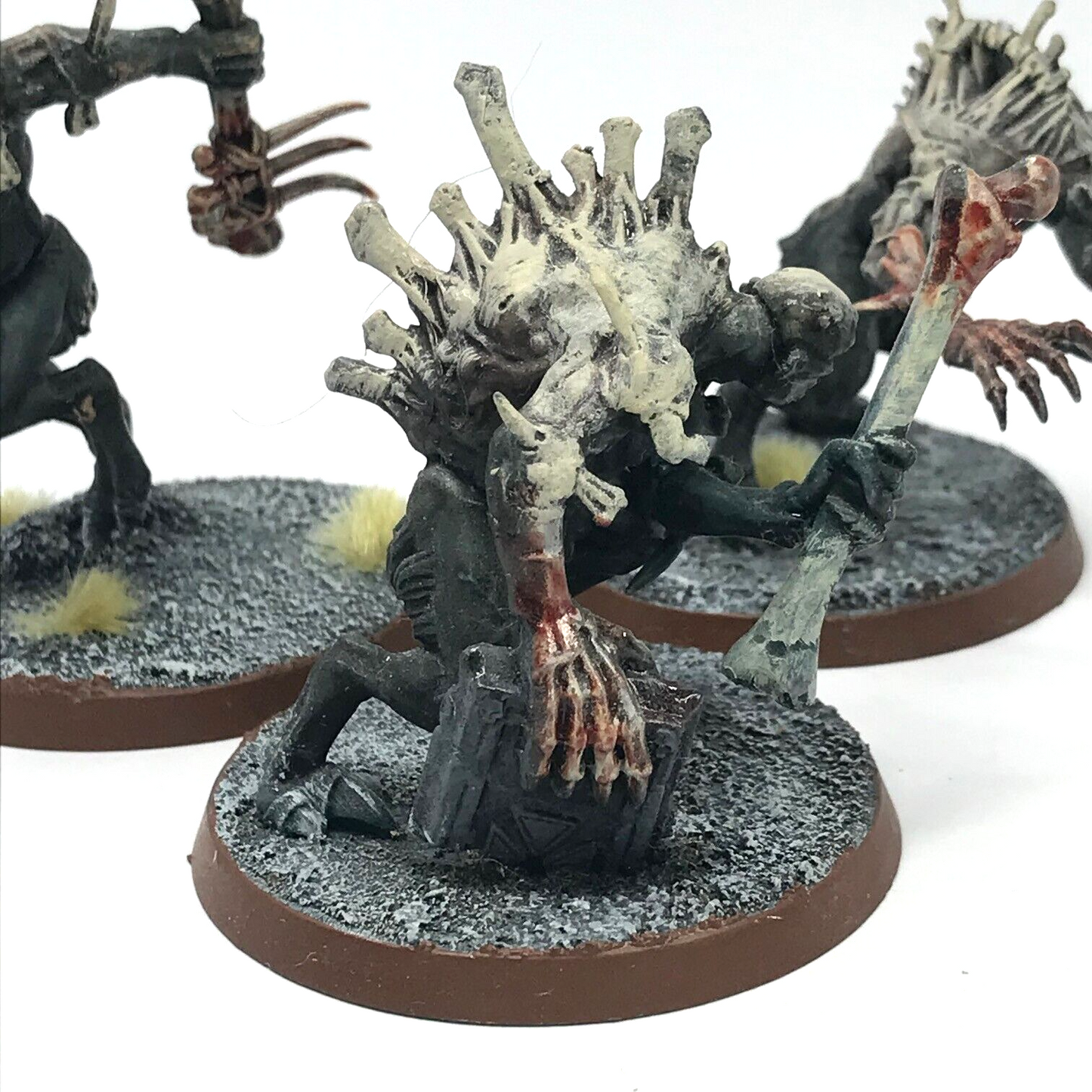 Crypt Horrors Flesh-eater Courts - Painted - Warhammer Age of Sigmar C2621