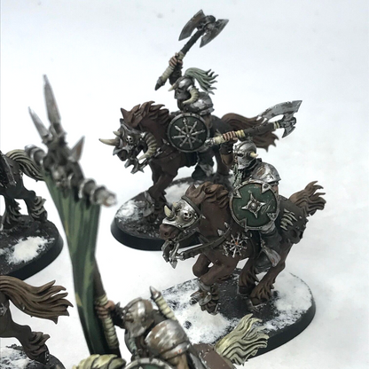 Nurgle Chaos Marauder Knights - Painted - Warhammer Age of Sigmar C2447