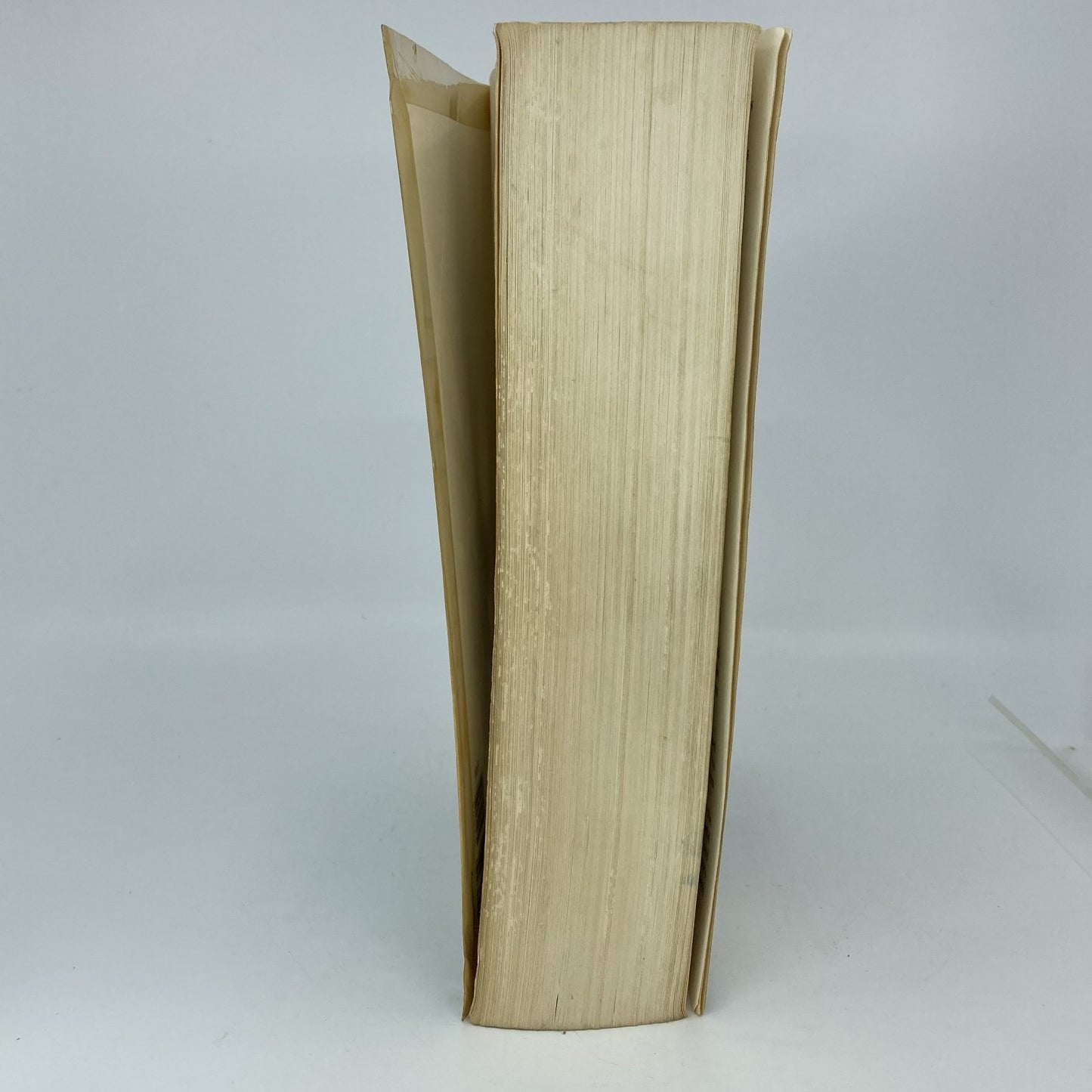 9136aeef-0ab0-4097-8ef4-28af32ab506e