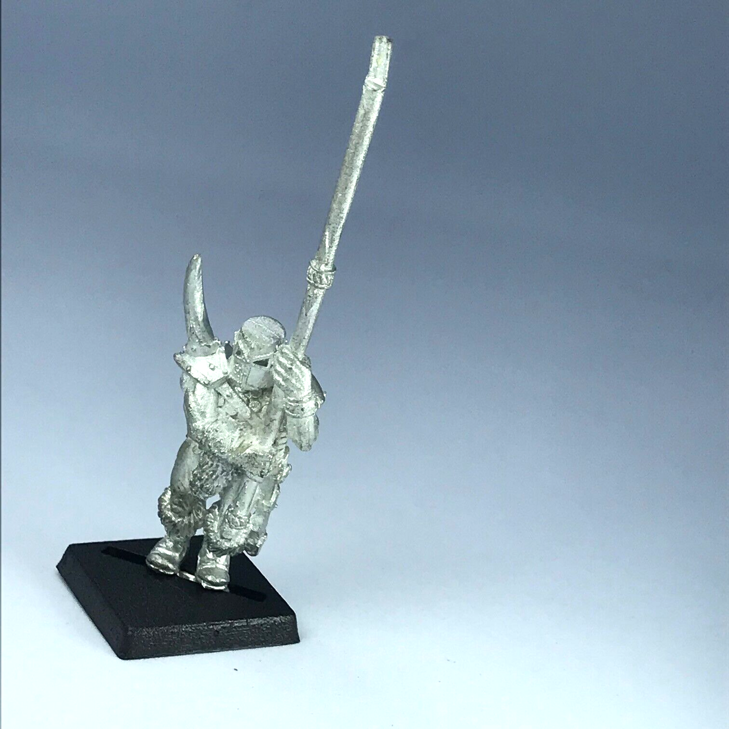 Chaos Marauder Standard Bearer Warriors of Chaos - Warhammer Fantasy X11438