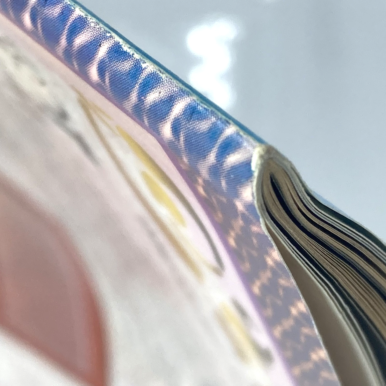 9197bcc1-87ed-4f4b-aa18-79b0127eed76