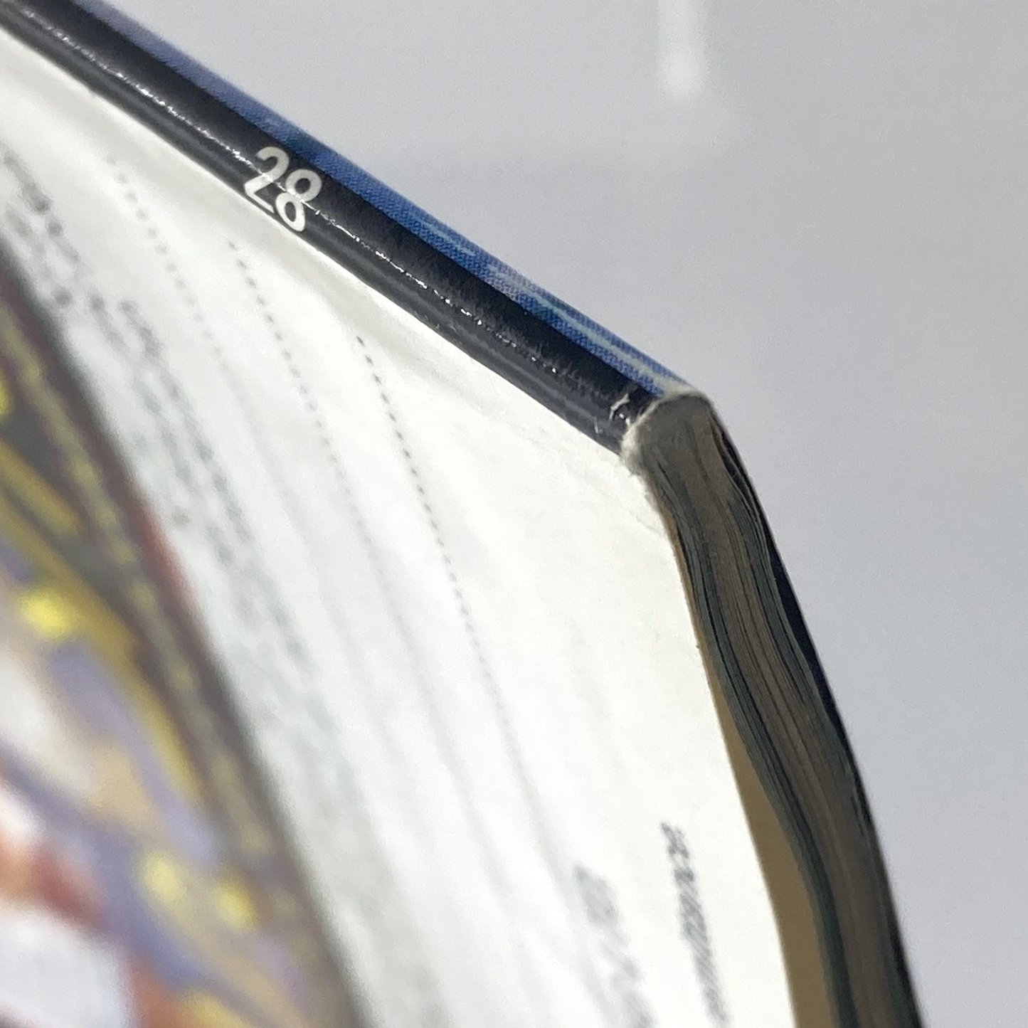 925ab95b-1ace-42d1-9458-35844529a4eb