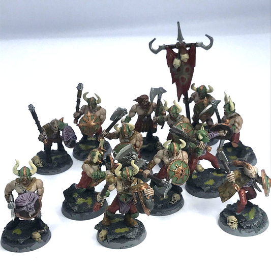 Chaos Marauders Maggotkin Nurgle Chaos - Painted - Warhammer Age of Sigmar C1277