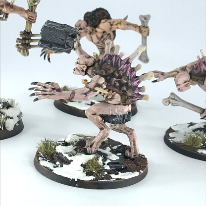 Crypt Horrors Flesh-eater Courts - Warhammer Age of Sigmar Painted C3878