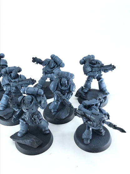 Space Wolves Primaris Intercessors Squad Space Marines - Warhammer 40K C4786