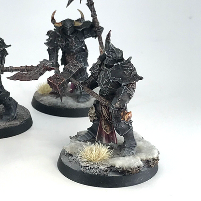 Chaos Chosen Slaves To Darkness - Painted - Warhammer Age of Sigmar C181