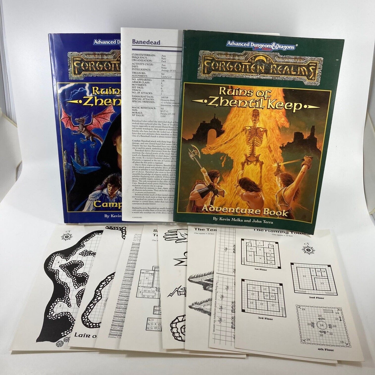 AD&D Ruins of Zhentil Keep Set - Dungeons & Dragons - Unsure if Complete W194