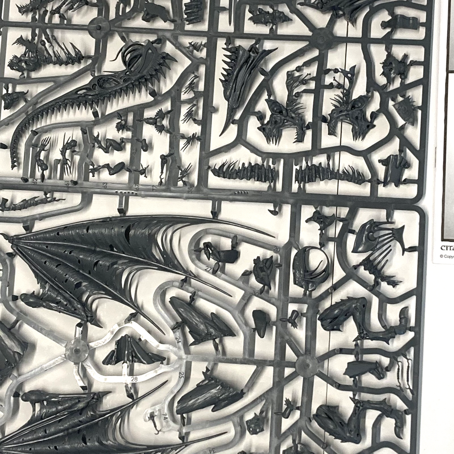 9671bccd-ea9f-4b78-99a5-cc8c12dfde97