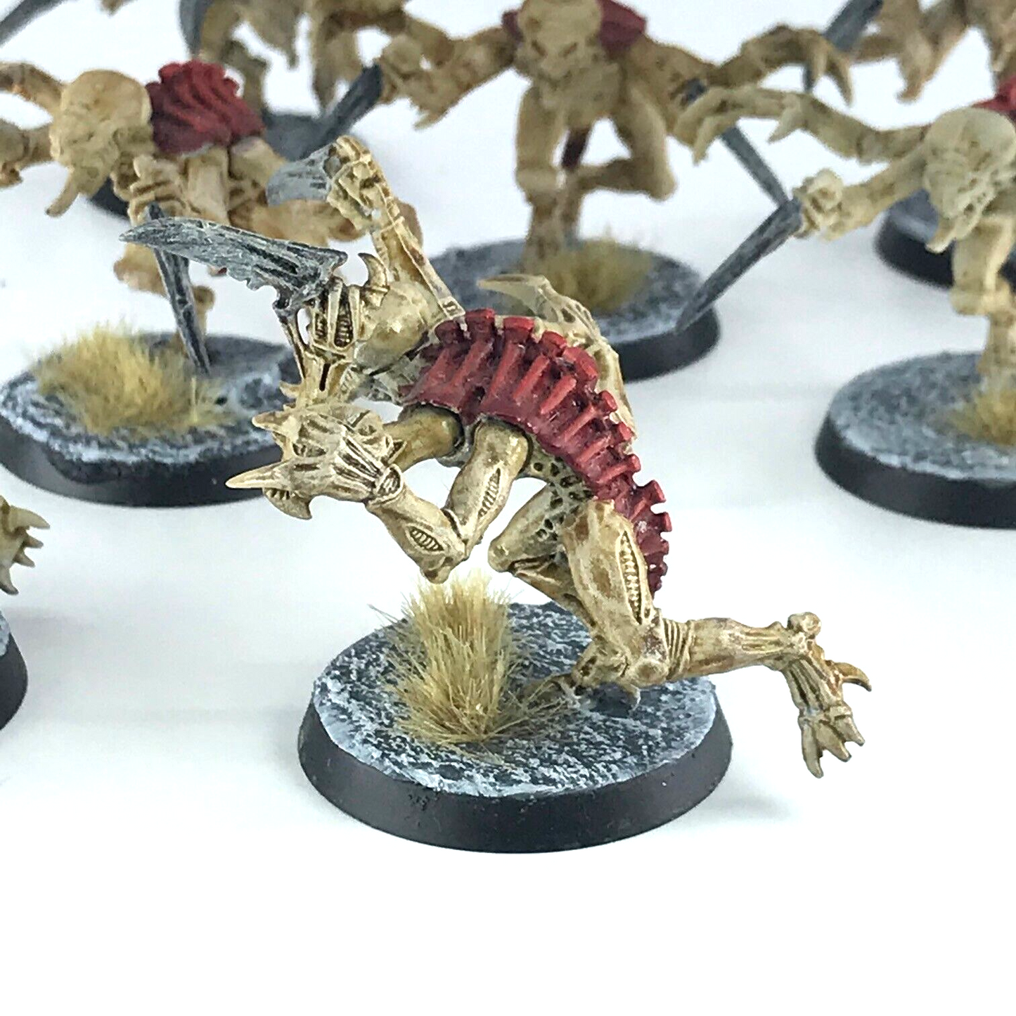 Tyranid Genestealers - Painted - Warhammer 40K Games Workshop C2740