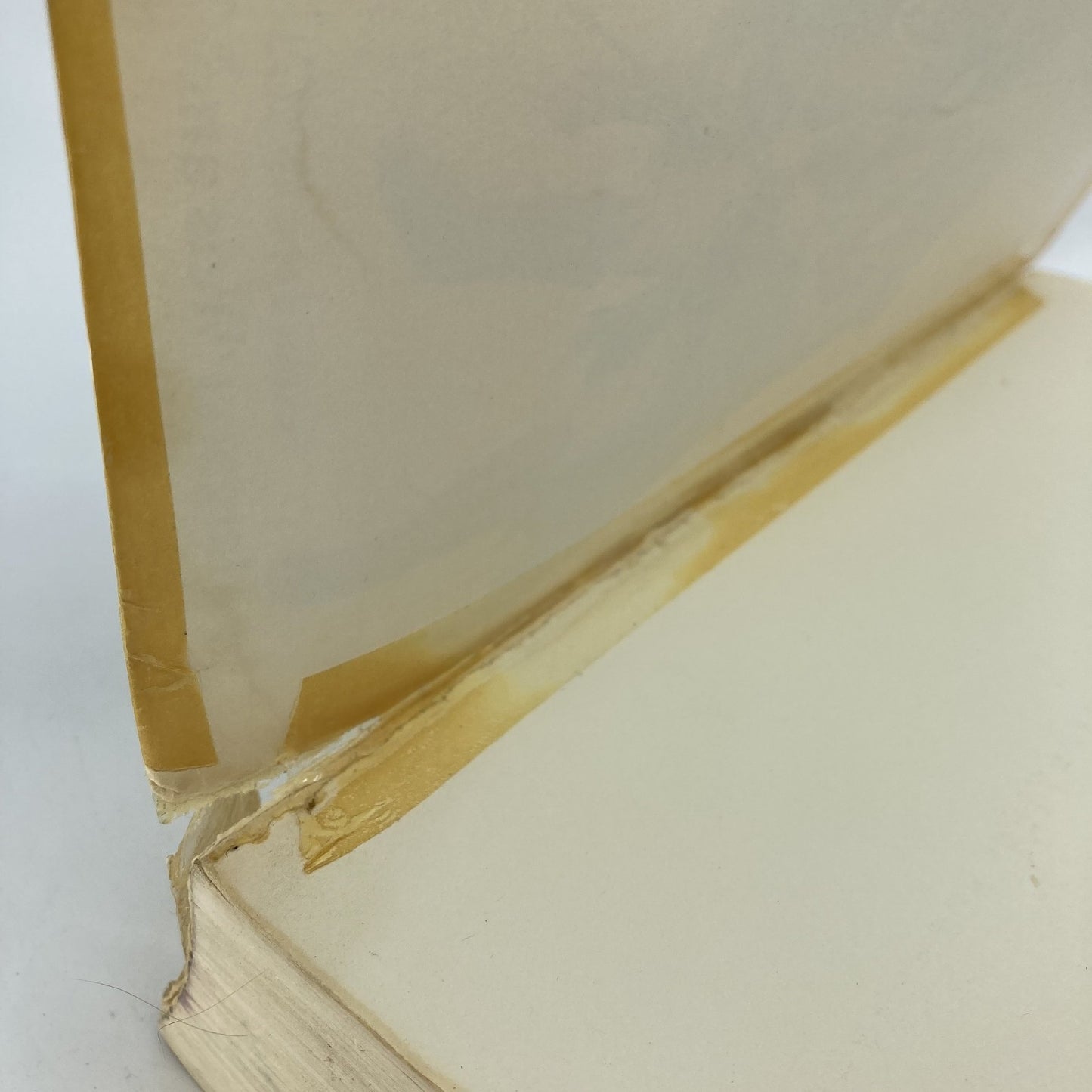 97335555-0fc6-451e-bb87-c08c410c2925