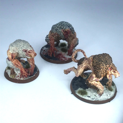 Large Rat Ogres - Mierce Miniatures Suitable for Skaven - Painted C4622