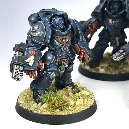 Space Marine Primaris Aggressors - Painted - Warhammer 40K C3557