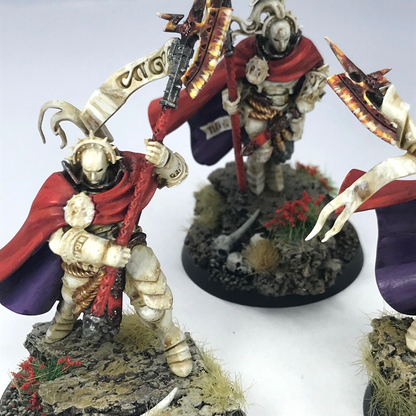 Praetors Stormcast Eternals - Painted - Warhammer Age of Sigmar C1328