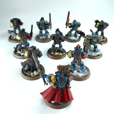 Grey Hunters Space Wolves - Warhammer 40K Games Workshop Painted C2849