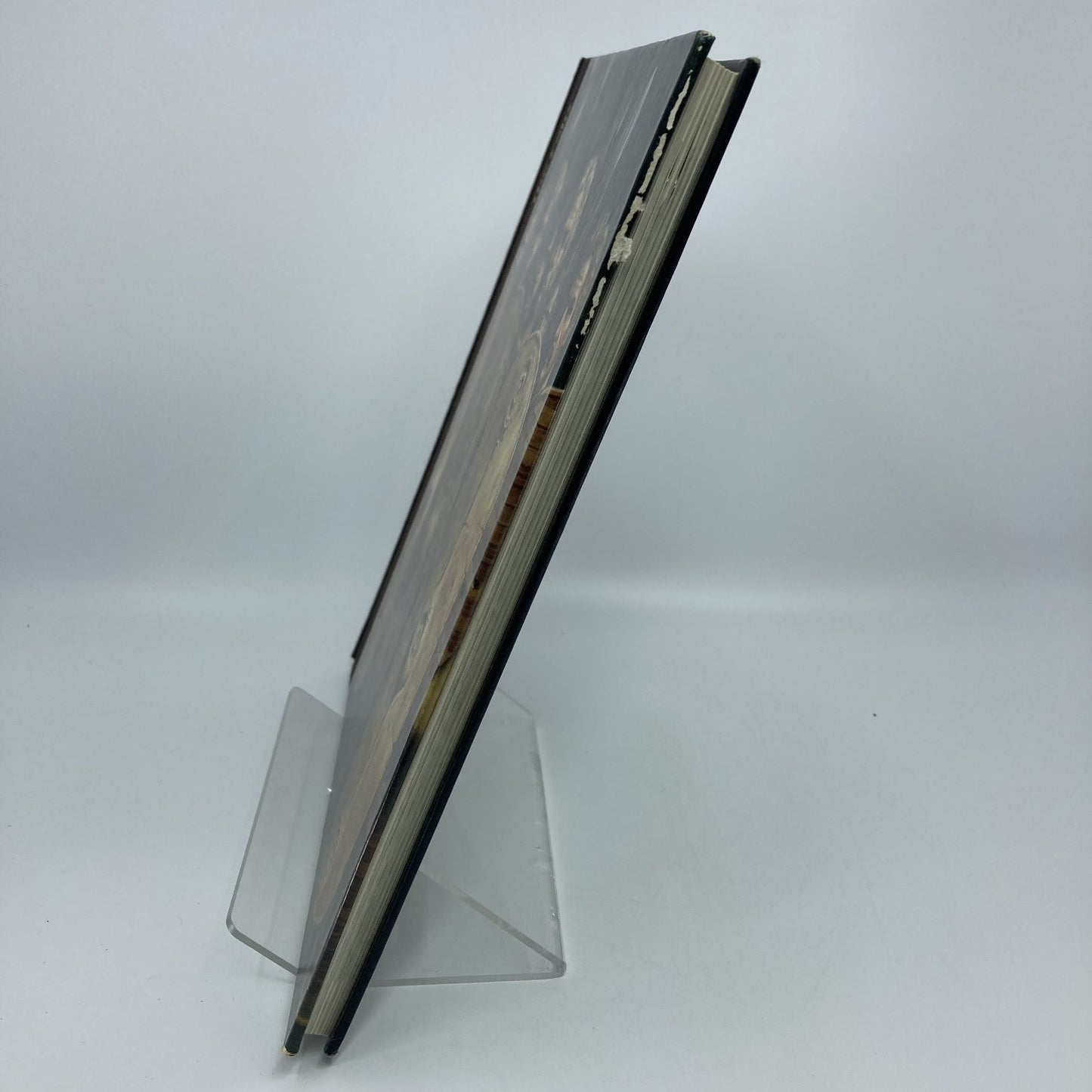 9bccf6ab-e02e-4676-9a9b-955b3a104671