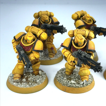 Primaris Hellblasters Imperial Fists Space Marines Painted - Warhammer 40K C506