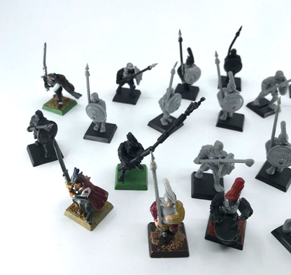 Spearmen Regiment The Empire - Various Condition - Warhammer Fantasy C1704