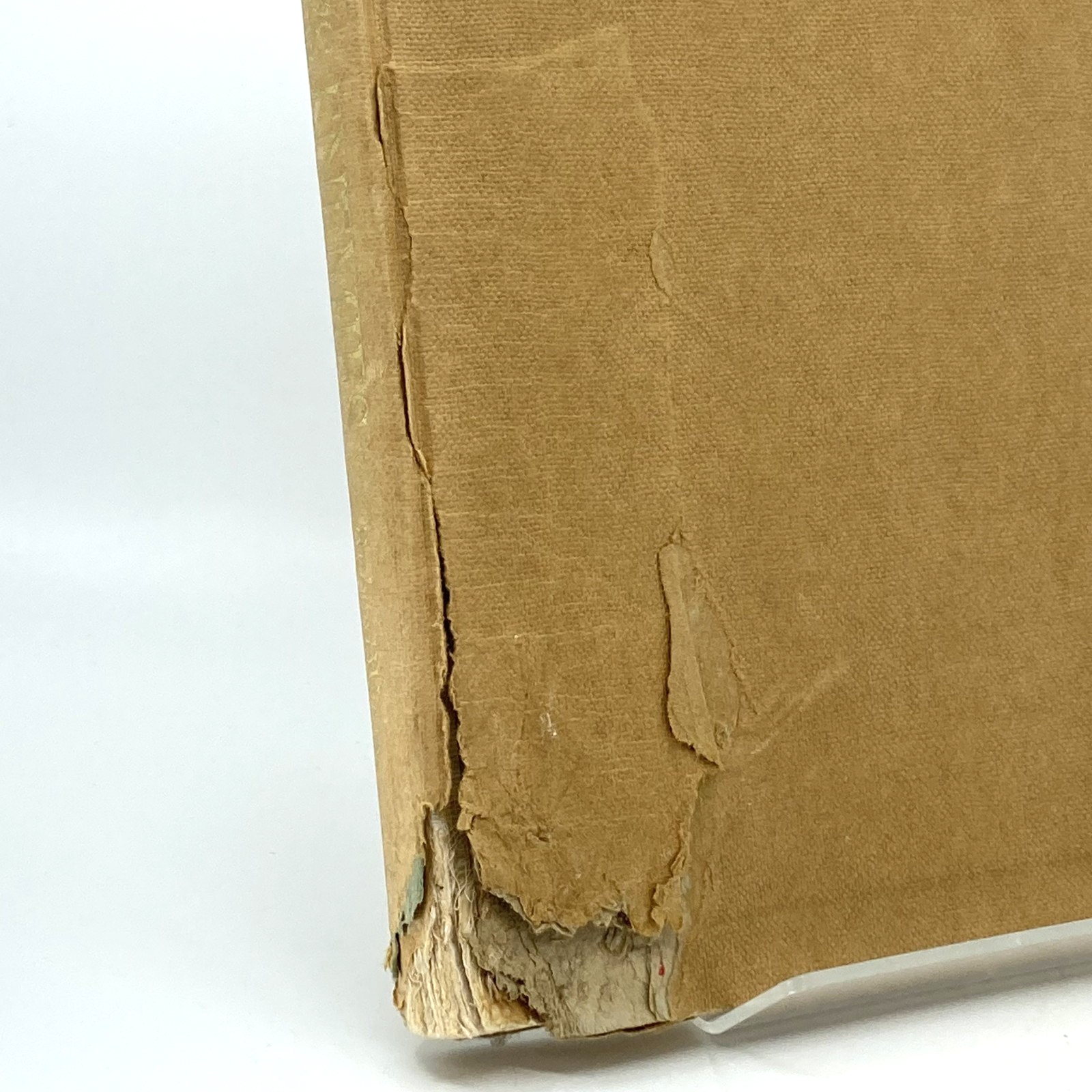 9f6ed10b-88ec-4e72-a93e-a5e9b4d269c7