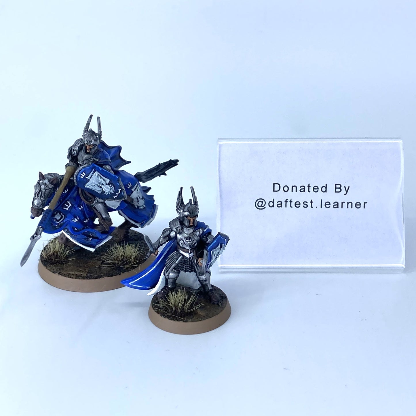 Prince Imrahil Of Dol Amroth - Donated By @daftest.learner