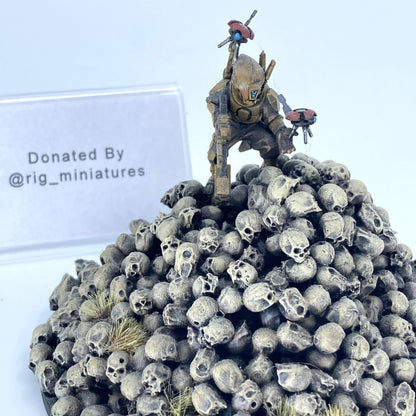 Tau Darkblade Diorama - Donated By @rig_miniatures