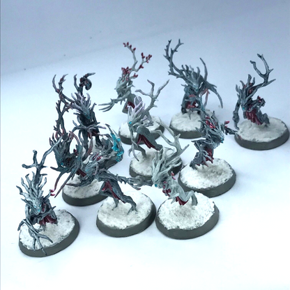 Sylvaneth Dryads Sylvaneth - Painted - Warhammer Age of Sigmar C258