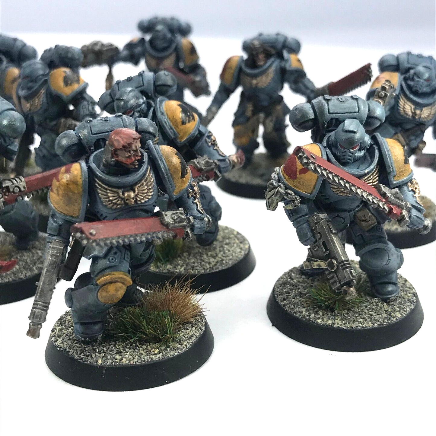 Assault Intercessors Space Wolves Space Marines - Painted - Warhammer 40K C3097