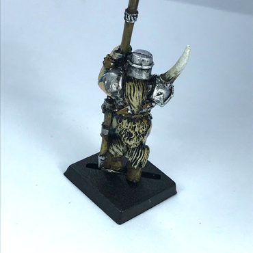 Classic Metal Chaos Marauder Standard Bearer Command - Warhammer Fantasy X8397