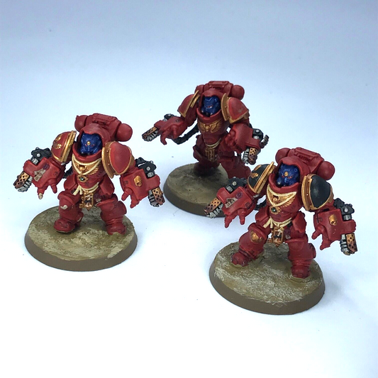 Primaris Aggressors Blood Angels Space Marines - Painted - Warhammer 40K C236