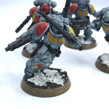 Assault Intercessors Space Wolves Space Marines - Painted - Warhammer 40K C2425