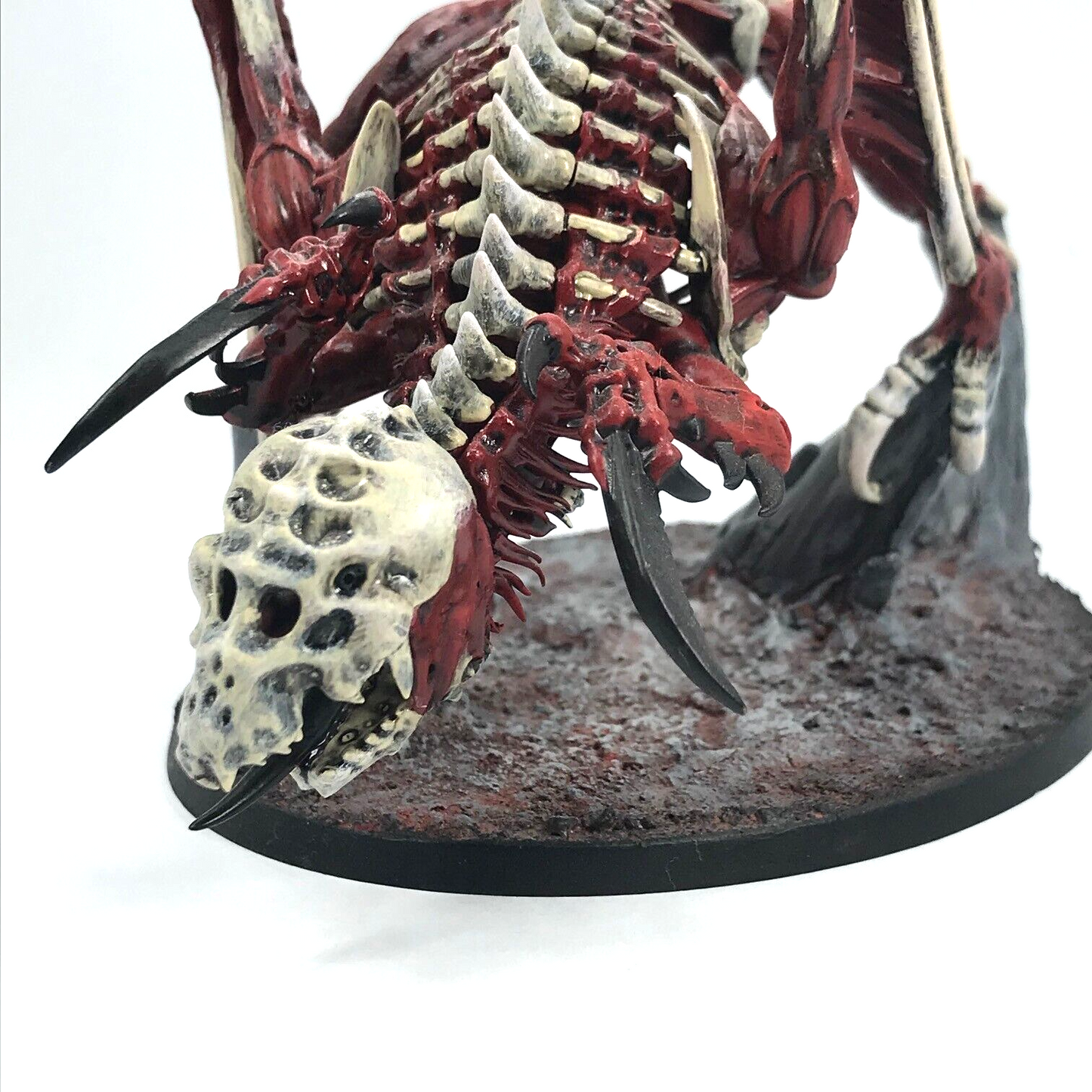 Flesh-eater Courts Zombie Dragon - Painted - Warhammer Age of Sigmar BOX34