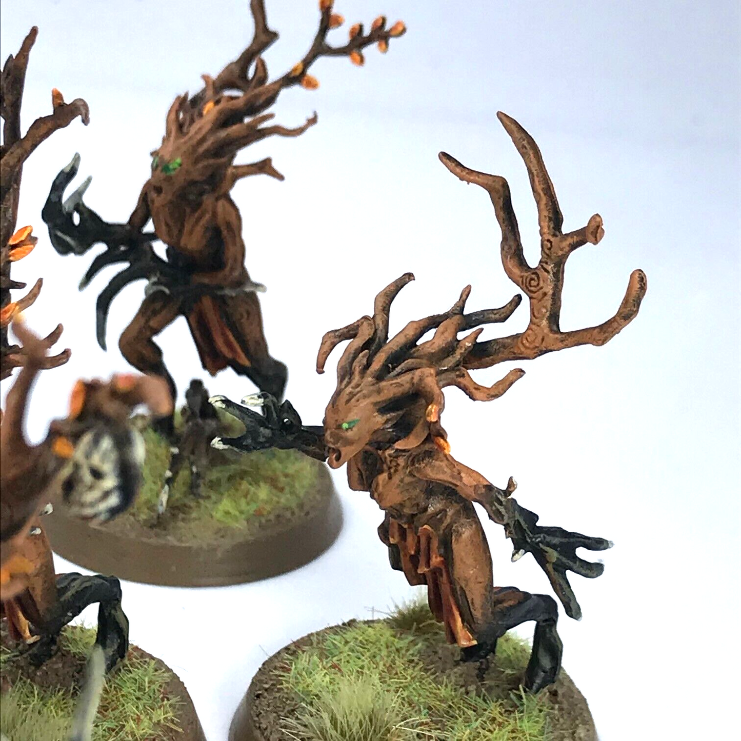 Sylvaneth Dryads Sylvaneth - Painted - Warhammer Age of Sigmar C3849