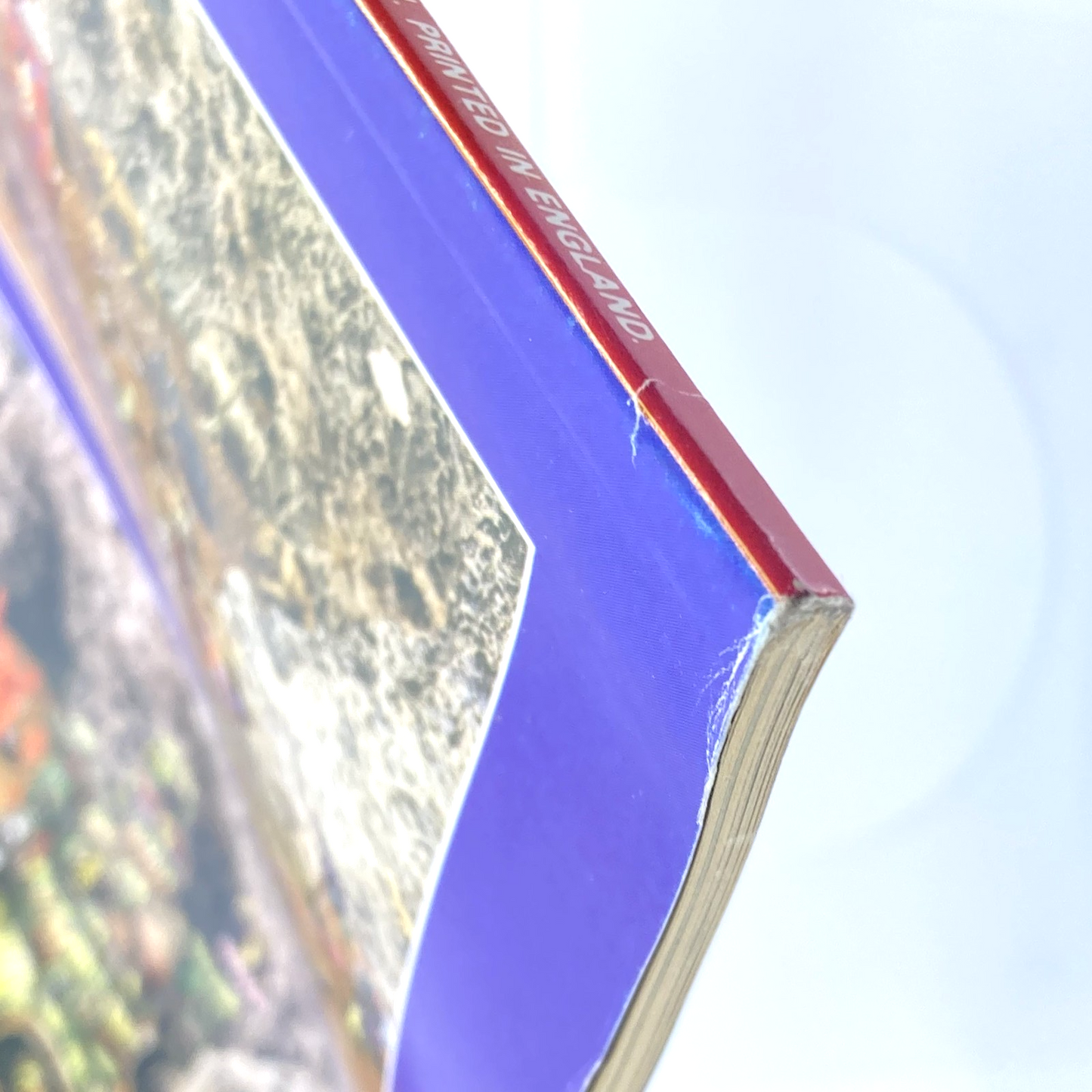 a99eea0a-9ed7-426e-bfdf-0f10e0149d42