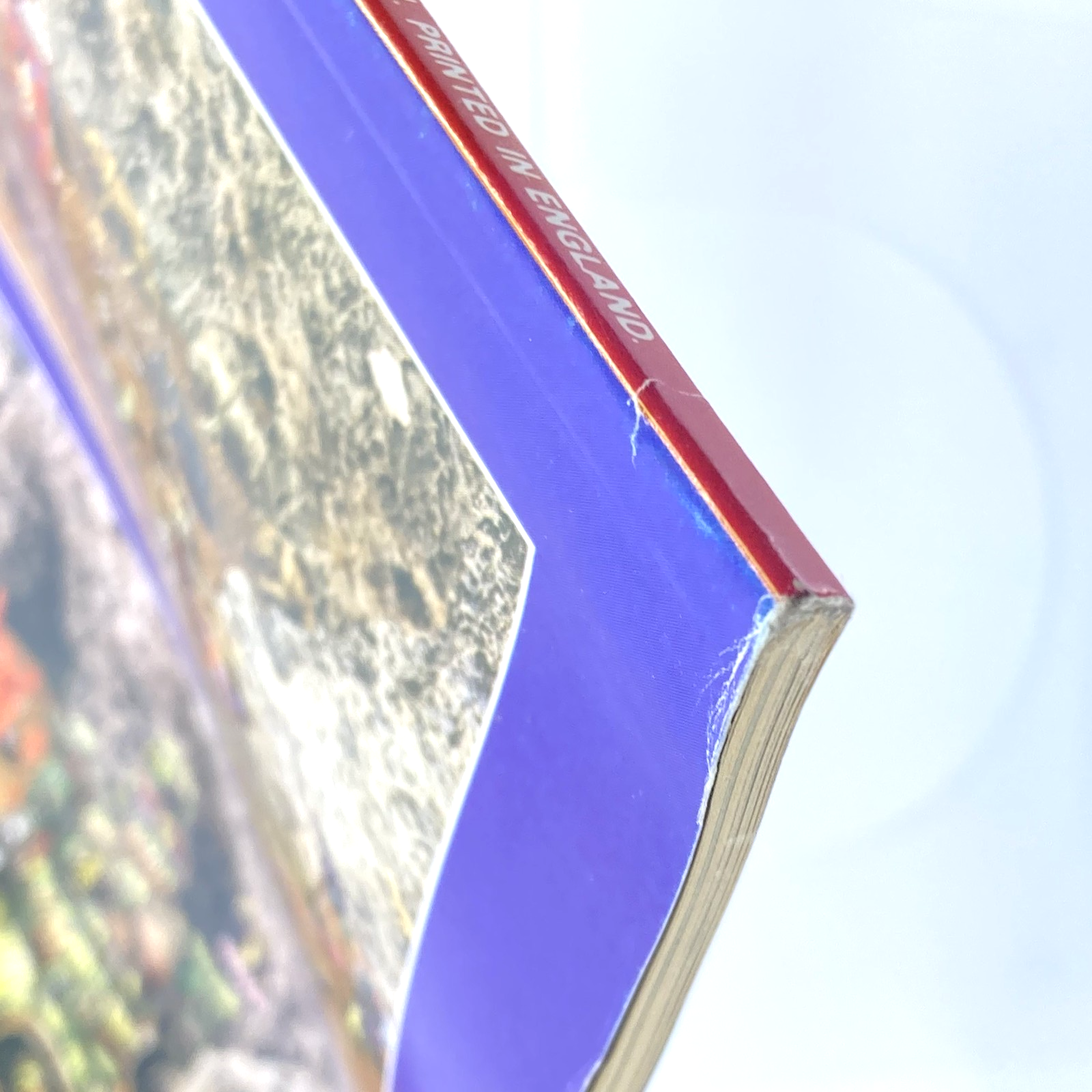 a99eea0a-9ed7-426e-bfdf-0f10e0149d42