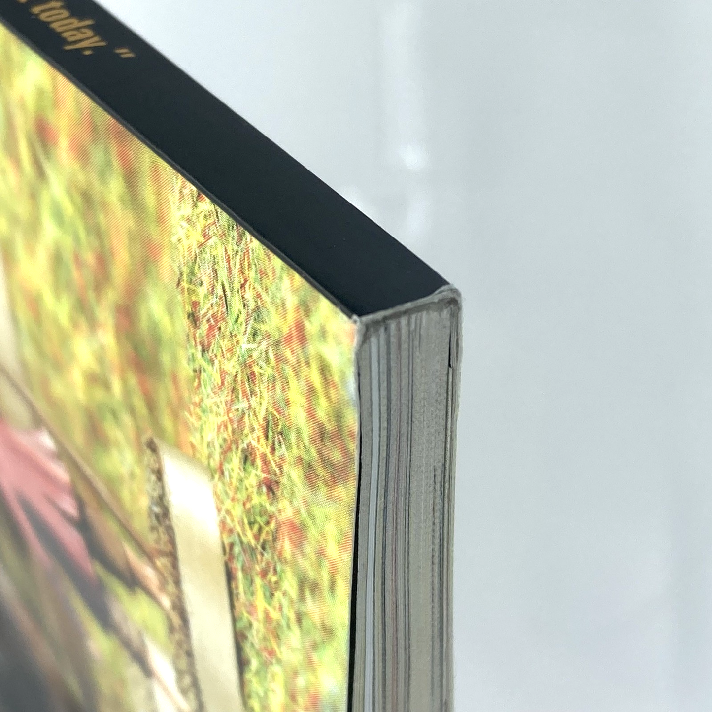 abaf3408-6c7c-42e9-afd7-c9c6e62041c6