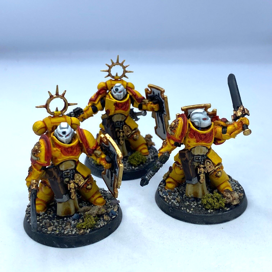 Bladeguard Veterans Imperial Fists Space Marine - Painted Warhammer 40K C3119