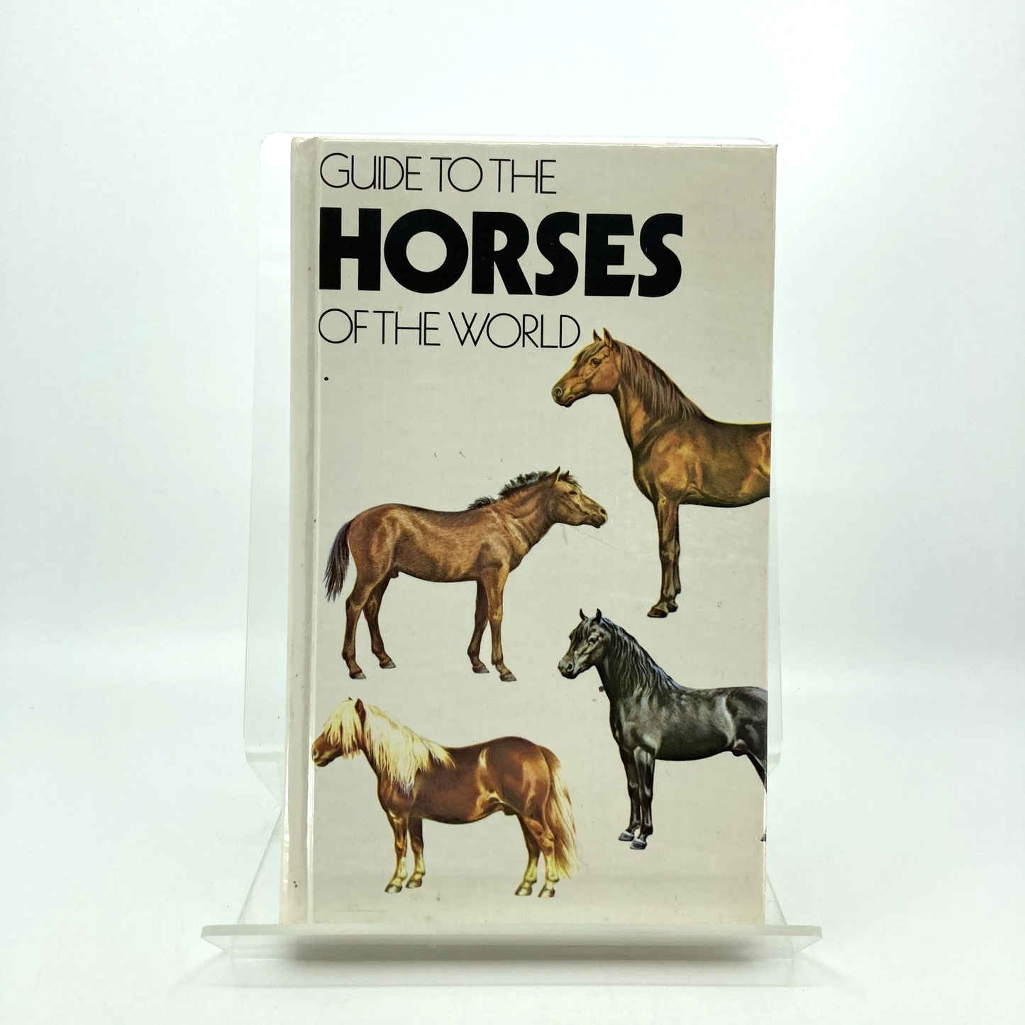 ac4f700b-762a-4ea6-b194-2dc259728b0a